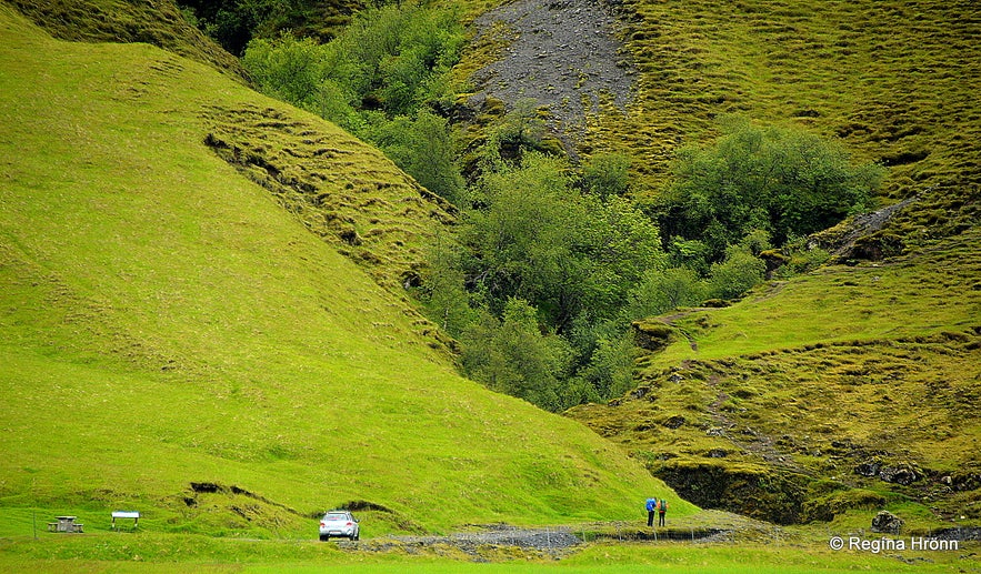 Nauthúsagil canyon South-Iceland