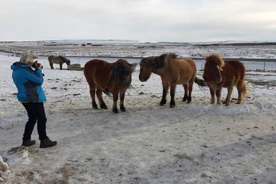 10 Day Winter Tour around Iceland with Ice Cave