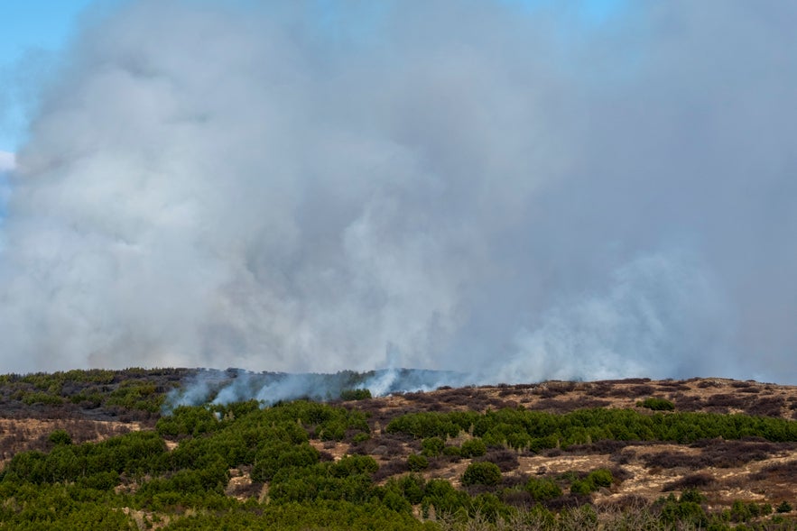 Wald- und Vegetationsbrand Heidmörk