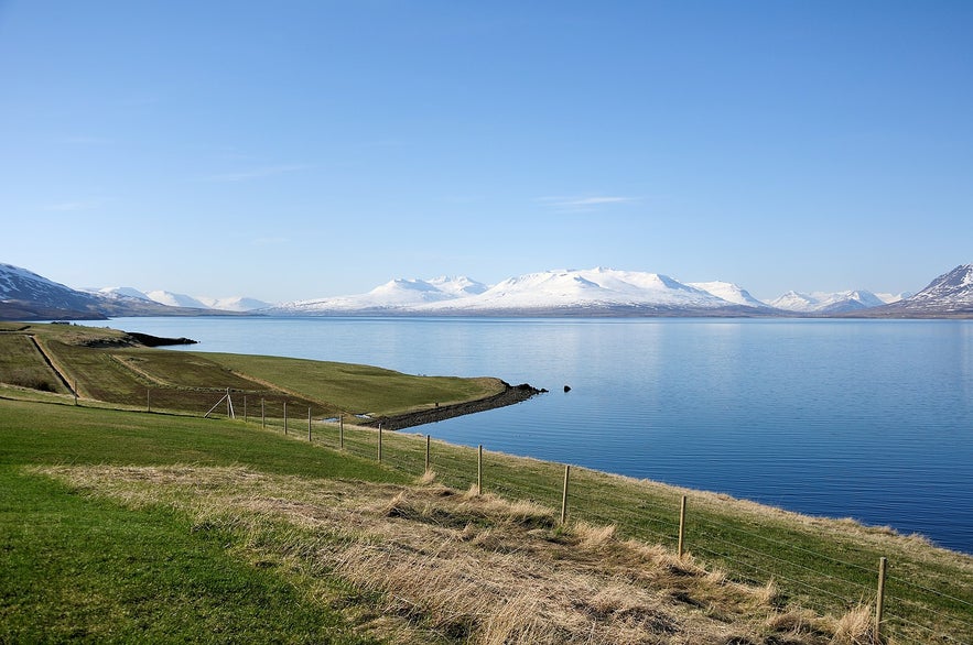 The view from Hjalteyri. The view from Hjalteyri.