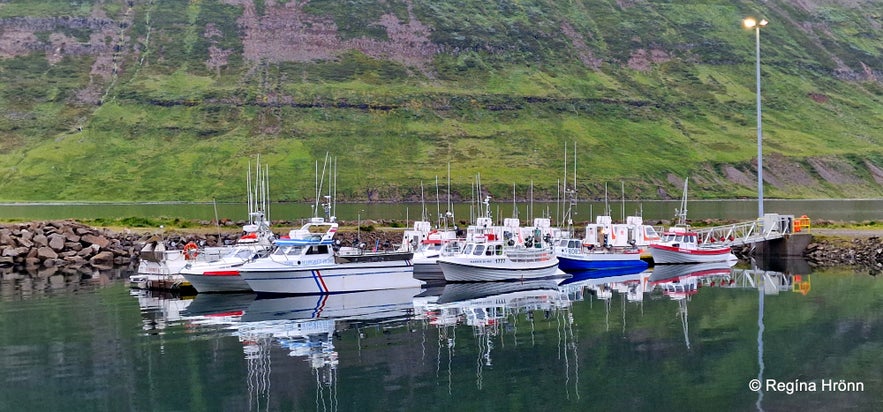 The 20th Anniversary of the Act Alone Festival in Suðureyri in the Westfjords