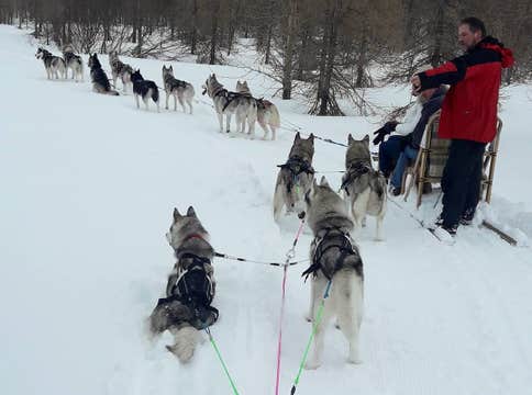 Small-Group Winter Dog Sledding Tour in Akureyri with Photo Opportunities