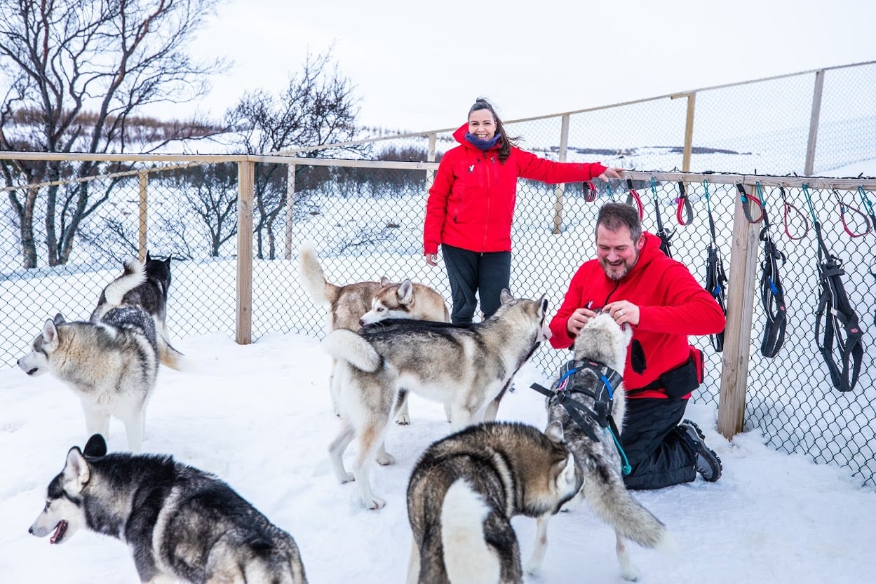 Deux personnes participant à une excursion avec des huskys en Islande caressent les chiens.