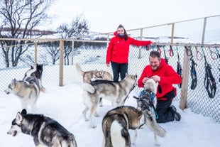 Dos personas acarician a los huskies durante una excursión en Islandia.