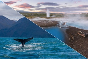 10-timers kombinationstur med Den Gyldne Cirkel, hvalsafari og  transport fra Reykjavik