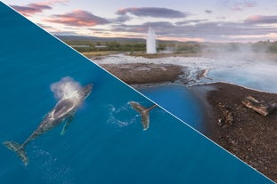Golden Circle & Whale-Watching Tour with Transfer from Reykjavik