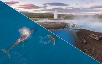 Golden Circle & Whale-Watching Tour with Transfer from Reykjavik