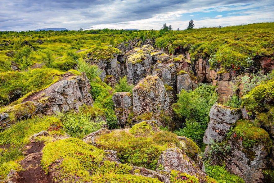 Storagja, Iceland. Old lava field deep crack. Beautiful Icelandic landscape, huge cliff covered by moss and tundra vegetation