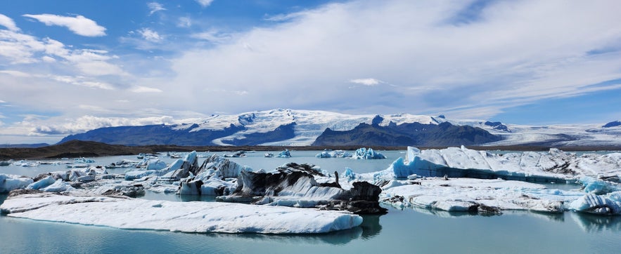 Glacier Falljökull and icebergs in south Iceland