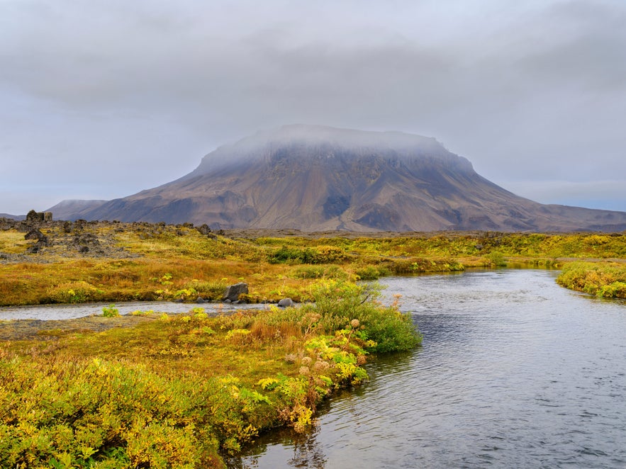Oasis herdubreidarlindir, river lindaa and volcano herdubreid. highlands in the vatnajokull national park, a unesco world heritage site, iceland