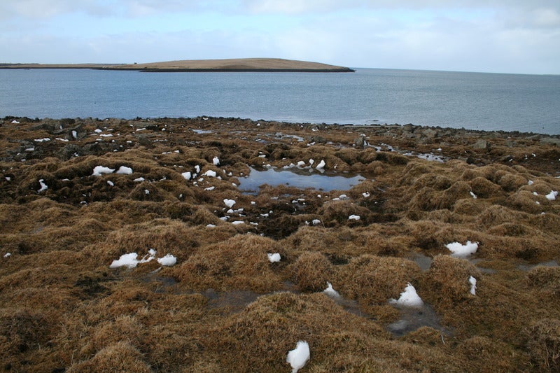 Þerneyjarsund.jpg