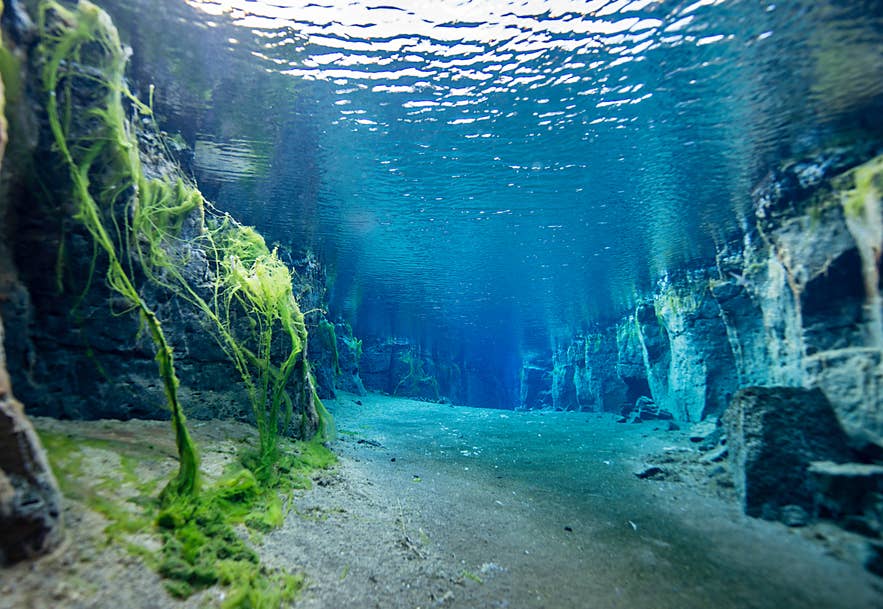 Nesgja Fissure in northern Iceland.