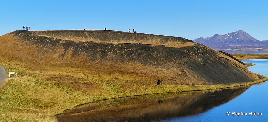 The unique Phenomenon Pseudocraters in Iceland