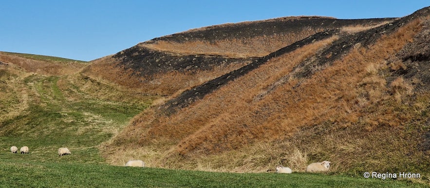 Skútustaðagígar pseudocraters Mývatn