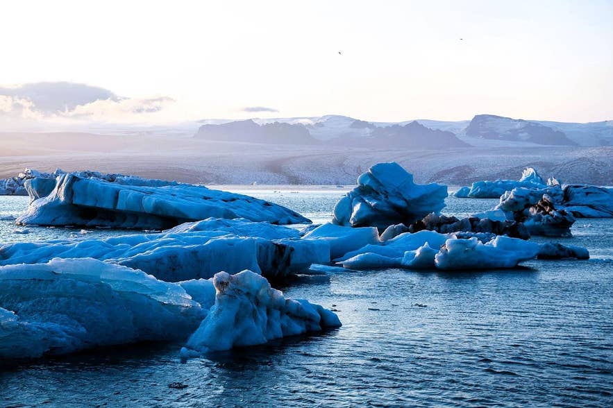 Icebergs in the water  AI-generated content may be incorrect.