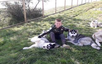 A child petting a pair of huskies near Akureyri.