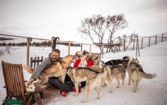 Two people playing with a pack of huskies in North Iceland.