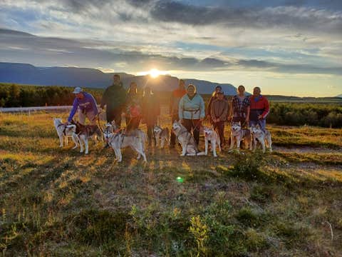 Private Husky Dog Hiking Experience with Optional Pick-up from Akureyri