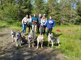 A group of friends posing for a photo with friendly husky dogs in North Iceland.
