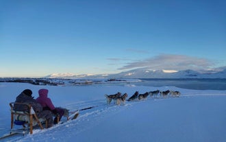 Huskies pull a sled during a tour in North Iceland.