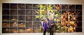 Settlement - an Excellent Photography Exhibition by Pétur Thomsen Photographer