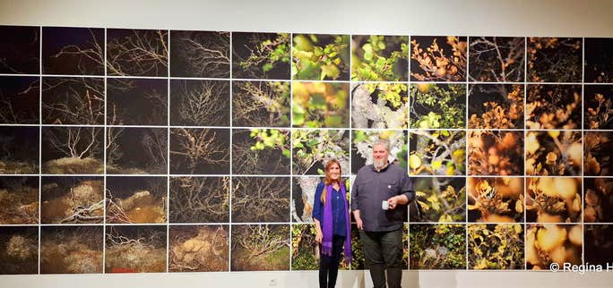 Settlement - an Excellent Photography Exhibition by Pétur Thomsen Photographer