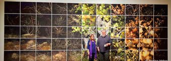 Settlement - an Excellent Photography Exhibition by Pétur Thomsen Photographer