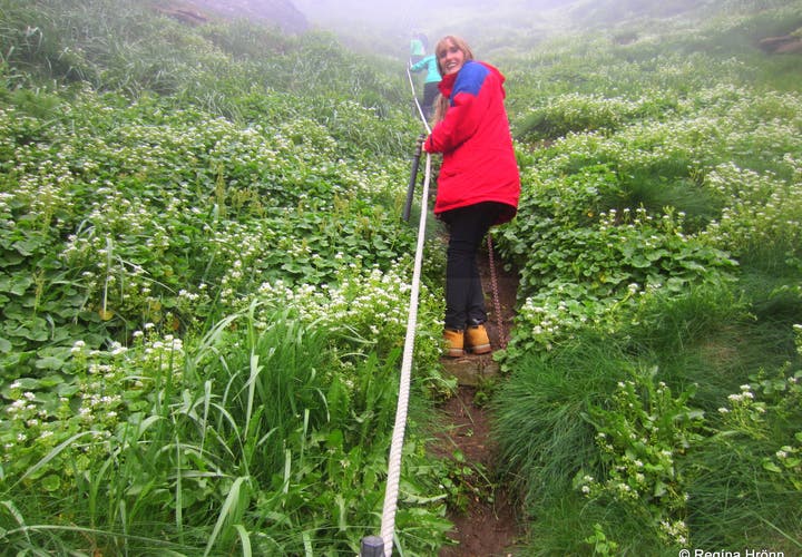 Drangey Bird Cliff in North Iceland and the Viking Grettir the Strong