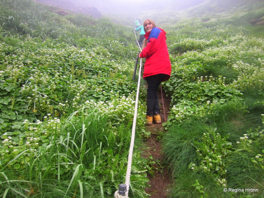 Drangey Bird Cliff in North Iceland and the Viking Grettir the Strong