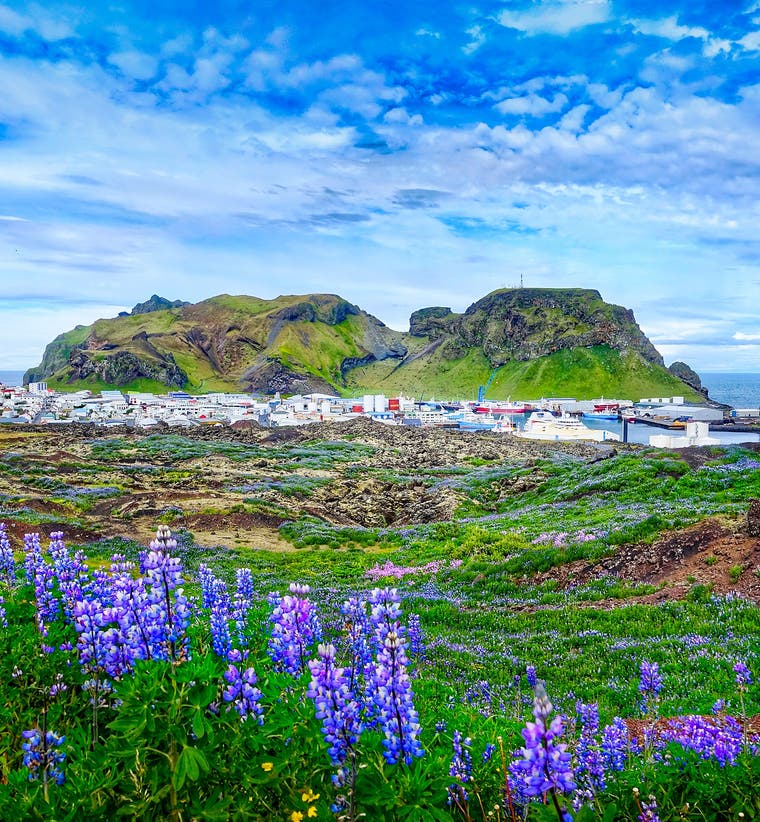 Westman Islands Tours