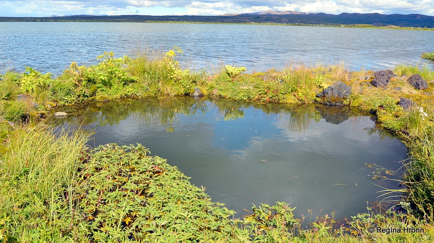 Lake Mývatn