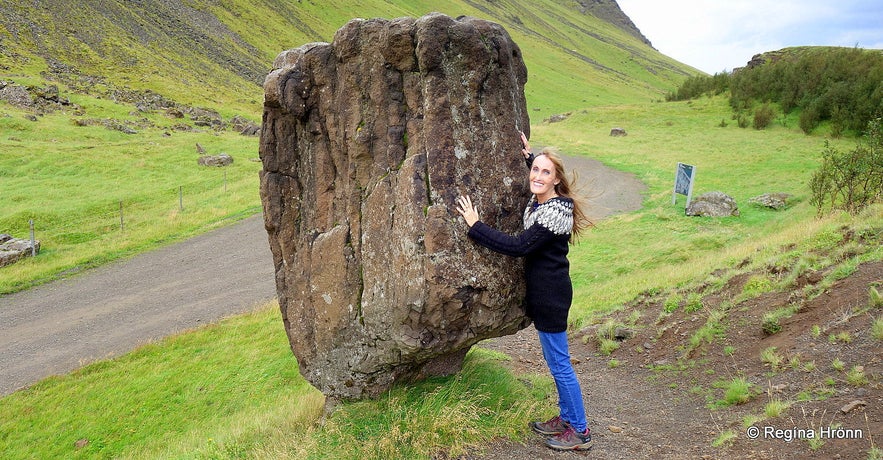 Regína by Staupasteinn - Steðji in SW-Iceland