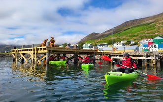 Afslappet kajaksejlads i Siglufjordur-fjorden i det nordlige Island