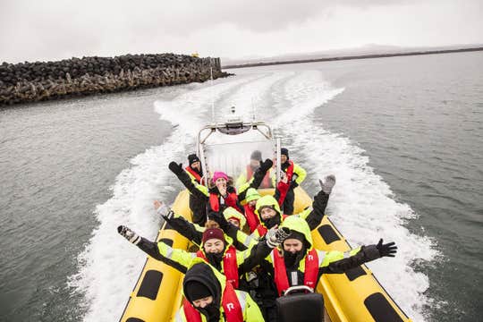 Exciting 2-Hour Whale Watching Tour in RIB Speedboat from Reykjavik