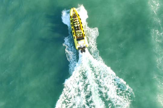 Exciting 2-Hour Whale Watching Tour in RIB Speedboat from Reykjavik