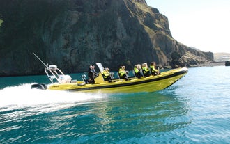A racing speedboat off the coast of Iceland.