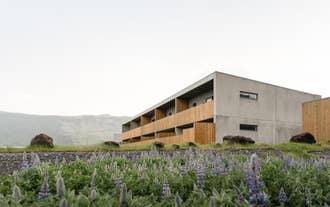 Lupins surround the Vik Apartments.