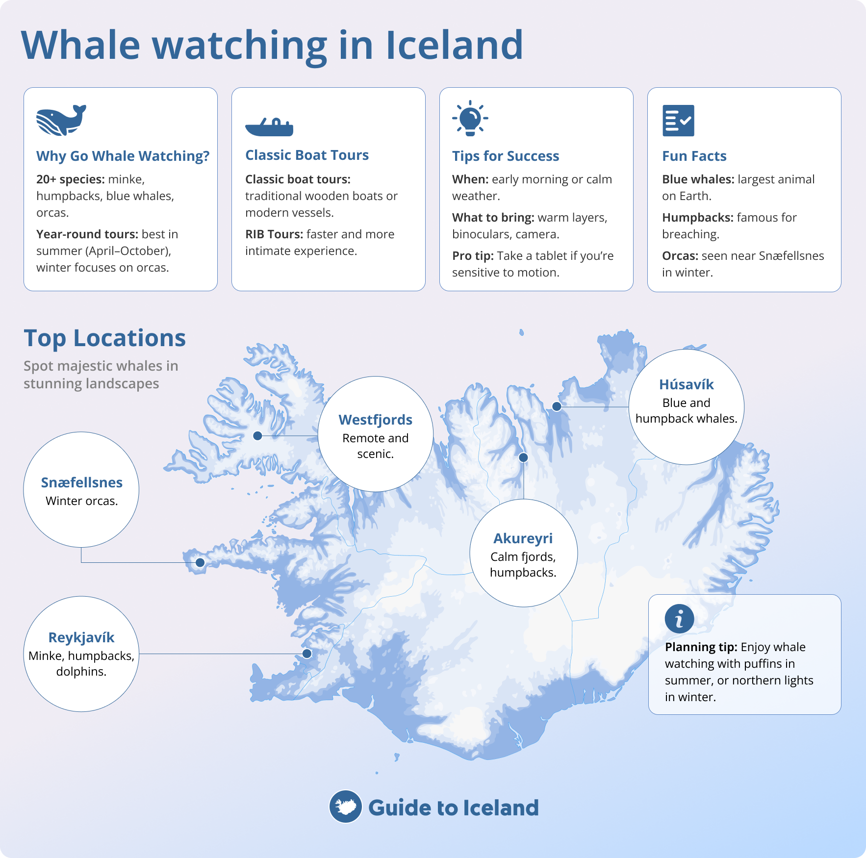 Gids voor walvissen spotten in IJsland met de beste locaties, zoals Husavik, Akureyri, Reykjavik en Snaefellsnes, plus tips en informatie over soorten.