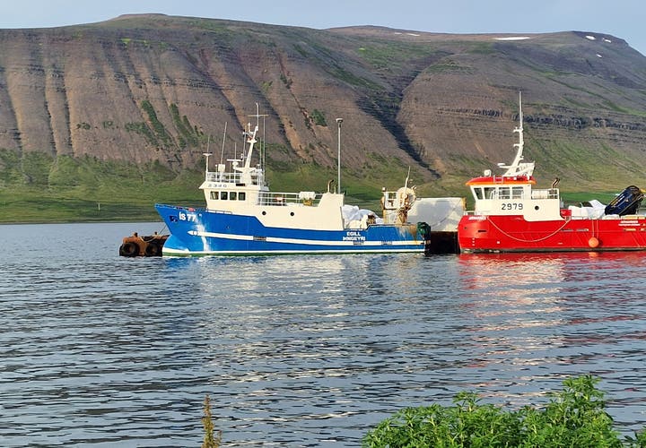 The lovely little Village Þingeyri in the Westfjords of Iceland