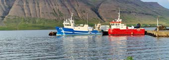 The lovely little Village Þingeyri in the Westfjords of Iceland
