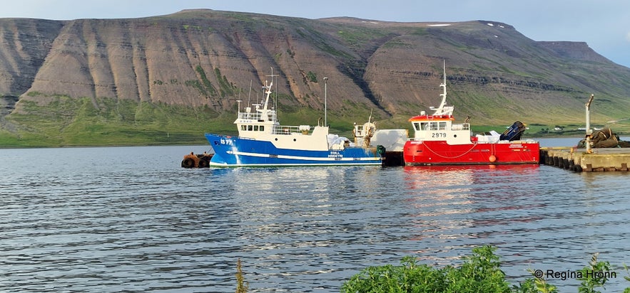 The lovely little Village Þingeyri in the Westfjords of Iceland