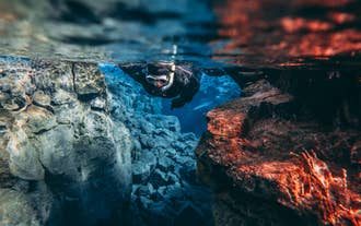 En snorkler flyter mellom glødende vulkanske steiner i Silfra-sprekken i Thingvellir nasjonalpark på Island.