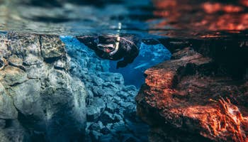 驚異の透明度！大陸の間でシュノーケリングツアー（無料水中写真付き）｜レイキャビク発