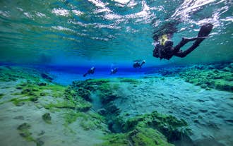 Silfra-halkio mainitaan usein yhtenä maailman kymmenestä parhaasta sukellus- ja snorklauspaikasta.