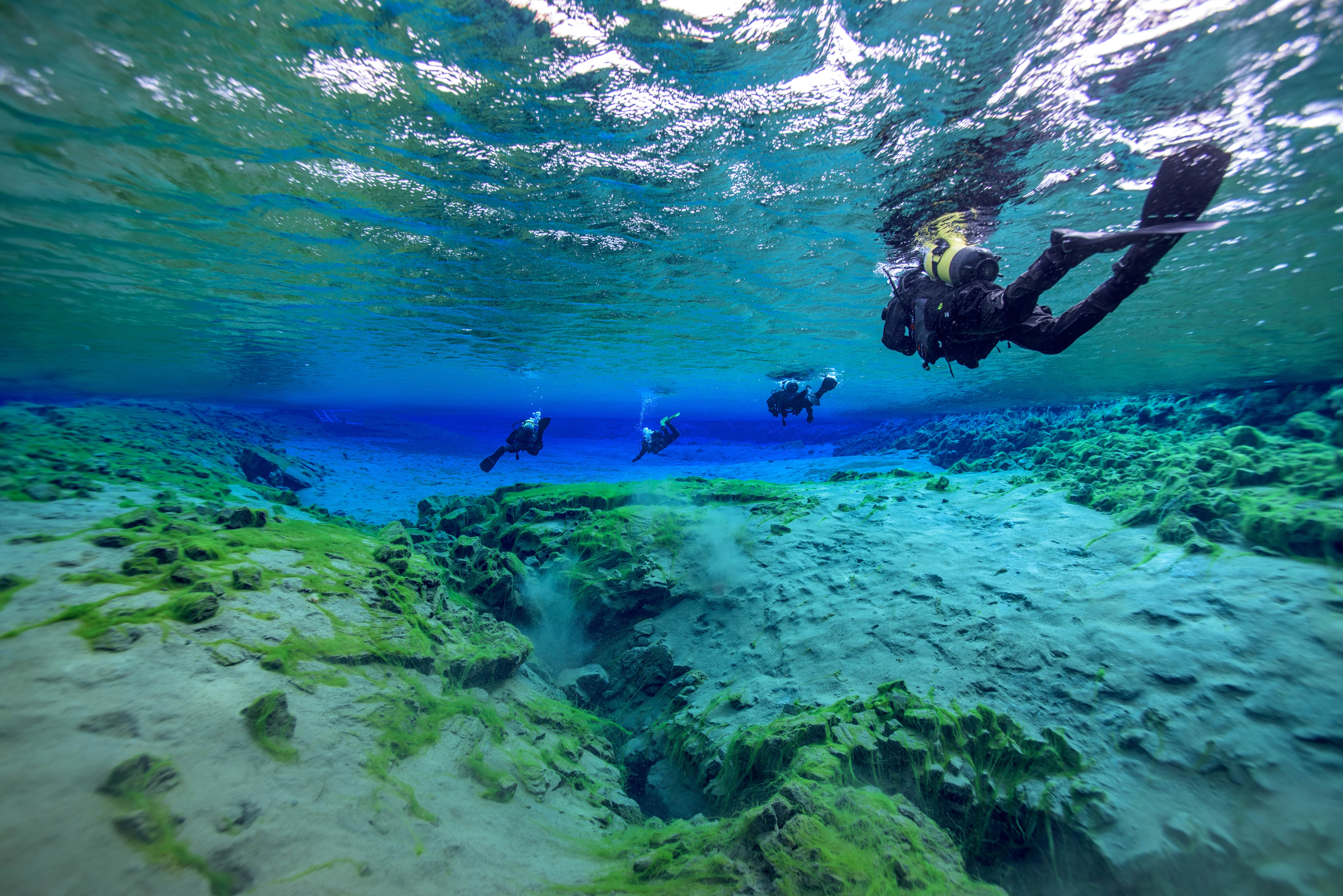 Silfra-sprekken regnes ofte som et av verdens ti beste steder for dykking og snorkling.