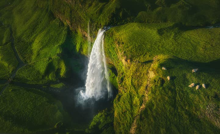 Die Tagestour zur Gletscherlagune & Südküste ab Reykjavik
