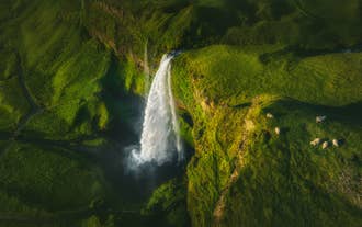 Vue aérienne de la cascade de Seljalandsfoss plongeant d'une falaise verdoyante dans le sud de l'Islande, en été.