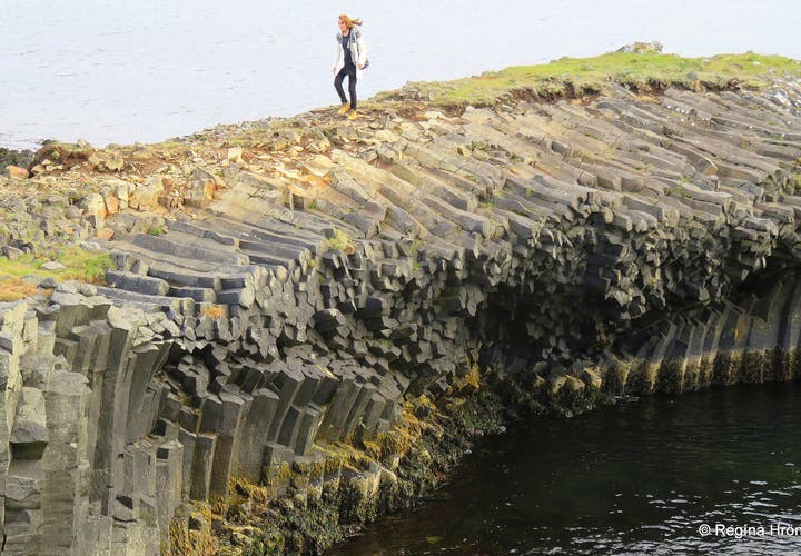 Kálfshamarsvík - extraordinary Basalt Columns at Skagi in North Iceland