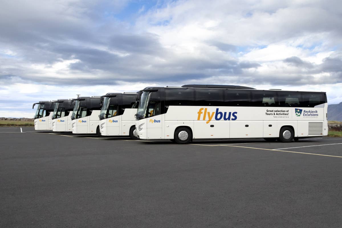Flybus Transfer from Keflavik Airport to Reykjavik City with Hotel Drop ...