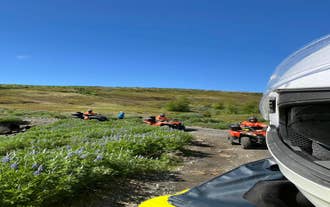 Aventura en cuatrimoto todoterreno mientras los conductores recorren un sendero accidentado en Islandia, rodeados de lupinos y colinas cubiertas de musgo bajo un cielo azul.